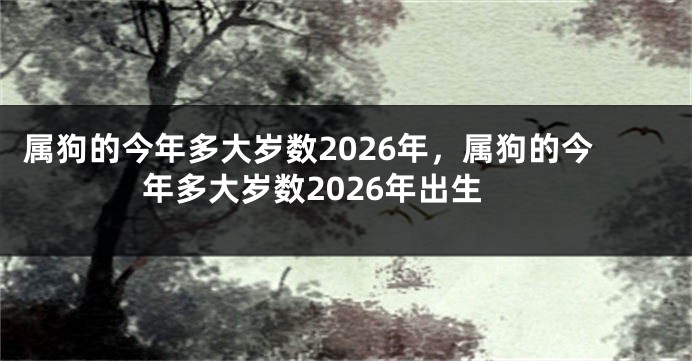 属狗的今年多大岁数2026年,属狗的今年多大岁数2026年出生