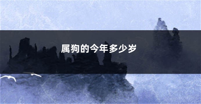属狗的今年多少岁