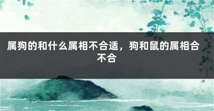 属狗的和什么属相不合适，狗和鼠的属相合不合