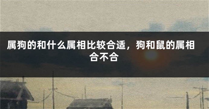 属狗的和什么属相比较合适，狗和鼠的属相合不合