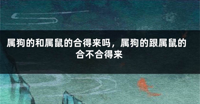 属狗的和属鼠的合得来吗，属狗的跟属鼠的合不合得来