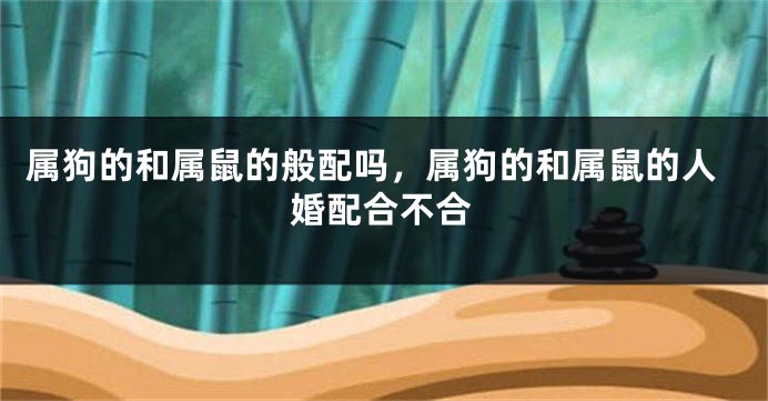 属狗的和属鼠的般配吗，属狗的和属鼠的人婚配合不合