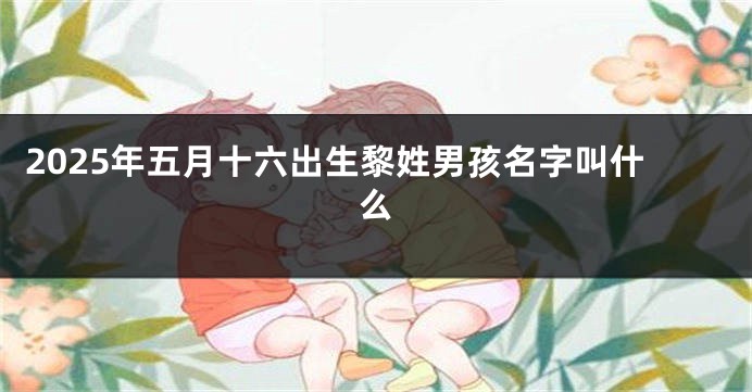 2025年五月十六出生黎姓男孩名字叫什么