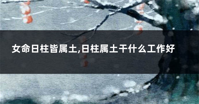 女命日柱皆属土,日柱属土干什么工作好