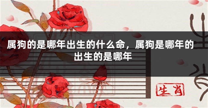 属狗的是哪年出生的什么命，属狗是哪年的出生的是哪年