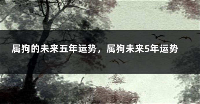 属狗的未来五年运势，属狗未来5年运势