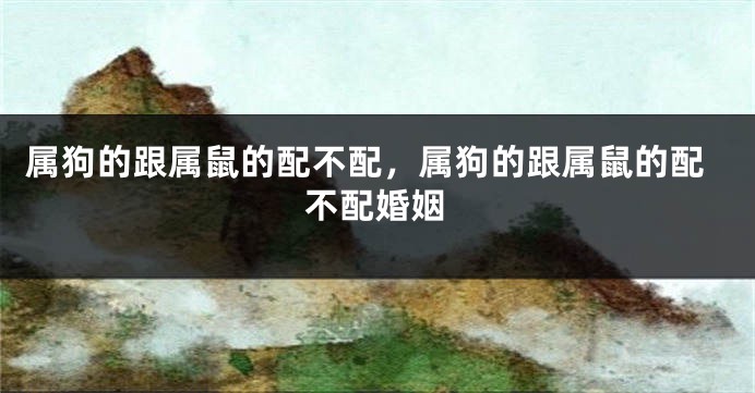 属狗的跟属鼠的配不配，属狗的跟属鼠的配不配婚姻
