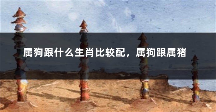 属狗跟什么生肖比较配，属狗跟属猪