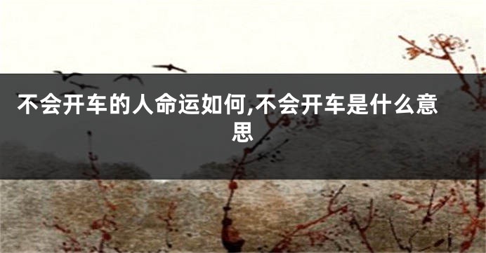 不会开车的人命运如何,不会开车是什么意思