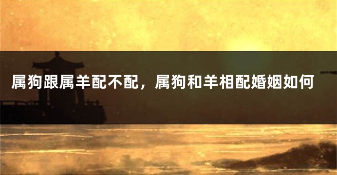 属狗跟属羊配不配,属狗和羊相配婚姻如何