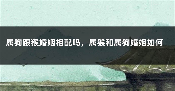 属狗跟猴婚姻相配吗，属猴和属狗婚姻如何