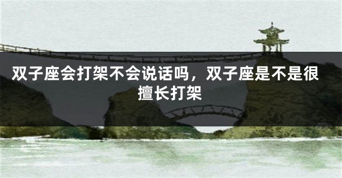 双子座会打架不会说话吗，双子座是不是很擅长打架