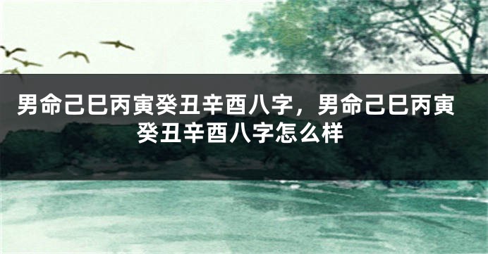 男命己巳丙寅癸丑辛酉八字，男命己巳丙寅癸丑辛酉八字怎么样