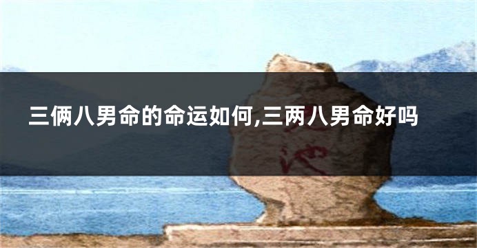三俩八男命的命运如何,三两八男命好吗