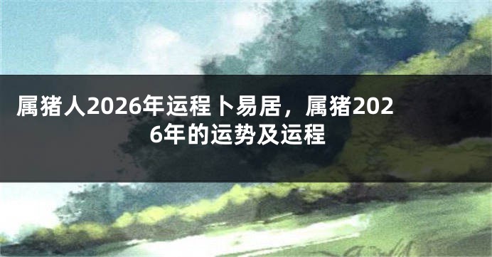 属猪人2026年运程卜易居，属猪2026年的运势及运程