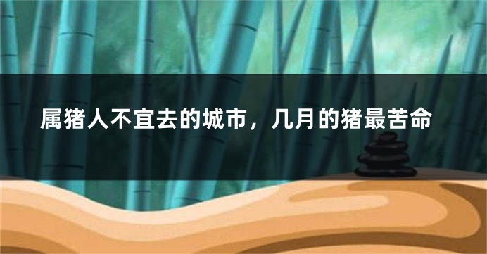 属猪人不宜去的城市，几月的猪最苦命