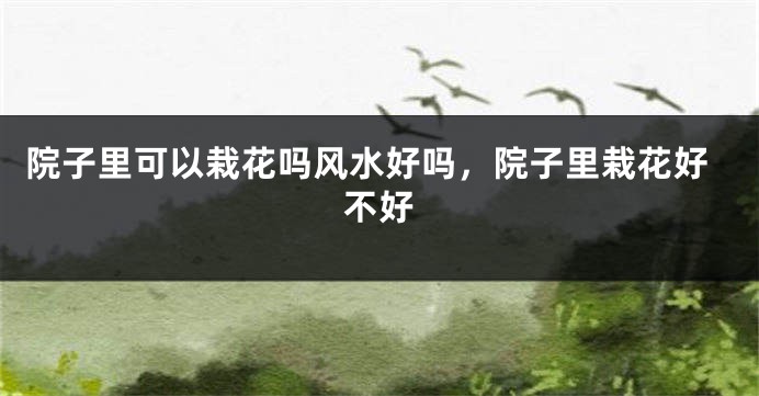 院子里可以栽花吗风水好吗，院子里栽花好不好