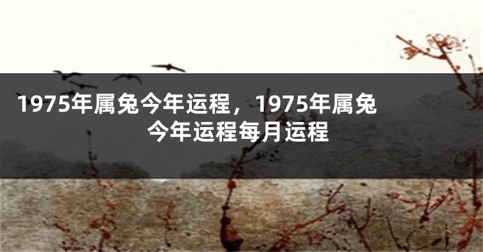 1975年属兔今年运程，1975年属兔今年运程每月运程