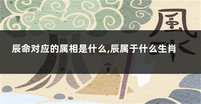 辰命对应的属相是什么,辰属于什么生肖