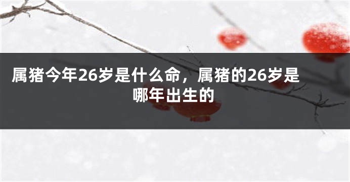 属猪今年26岁是什么命，属猪的26岁是哪年出生的