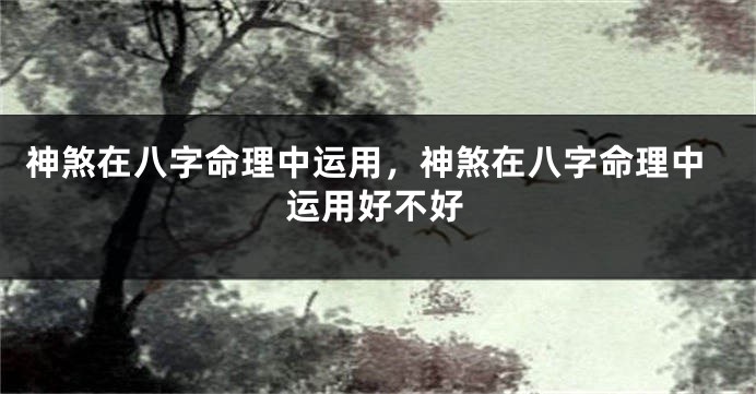 神煞在八字命理中运用，神煞在八字命理中运用好不好