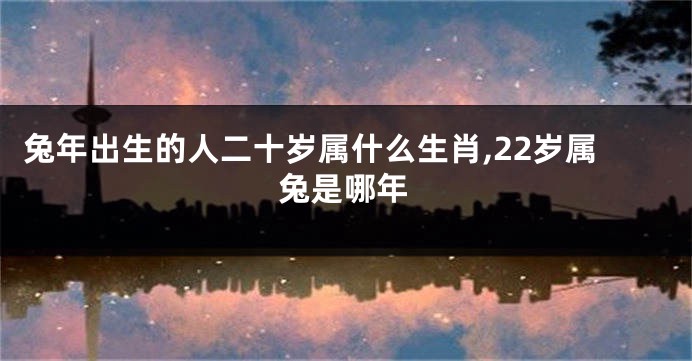兔年出生的人二十岁属什么生肖,22岁属兔是哪年