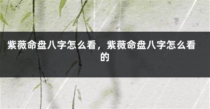 紫薇命盘八字怎么看，紫薇命盘八字怎么看的
