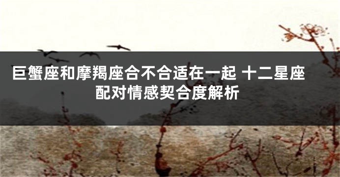巨蟹座和摩羯座合不合适在一起 十二星座配对情感契合度解析