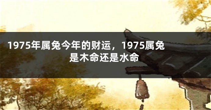 1975年属兔今年的财运，1975属兔是木命还是水命