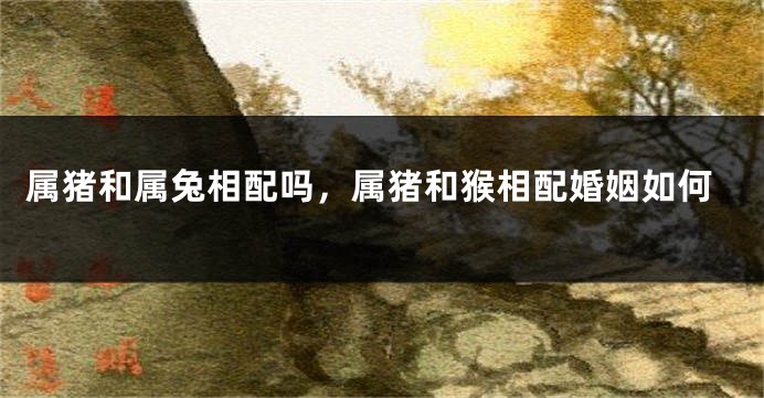 属猪和属兔相配吗，属猪和猴相配婚姻如何