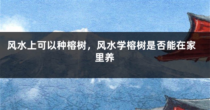 风水上可以种榕树,风水学榕树是否能在家里养