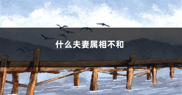 什么夫妻属相不和