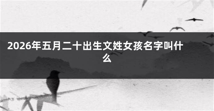 2026年五月二十出生文姓女孩名字叫什么