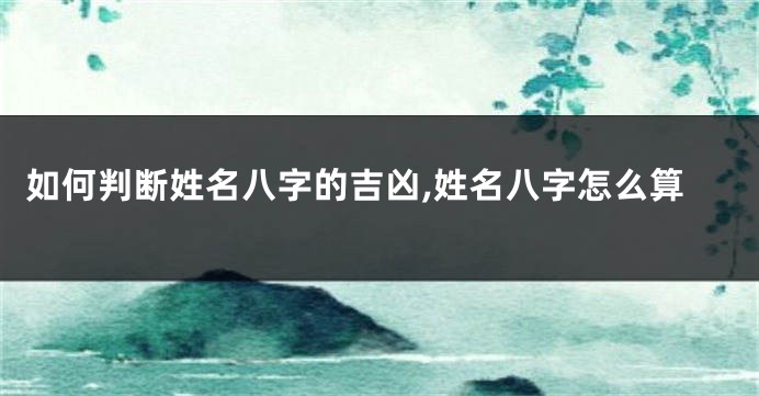 如何判断姓名八字的吉凶,姓名八字怎么算