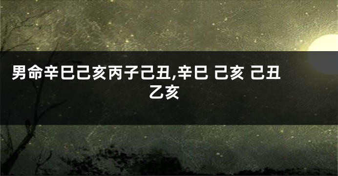 男命辛巳己亥丙子己丑,辛巳 己亥 己丑 乙亥
