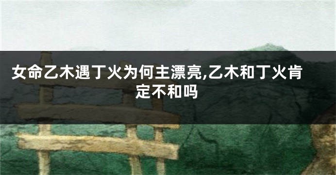 女命乙木遇丁火为何主漂亮,乙木和丁火肯定不和吗