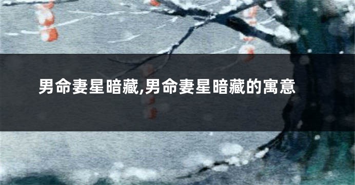 男命妻星暗藏,男命妻星暗藏的寓意