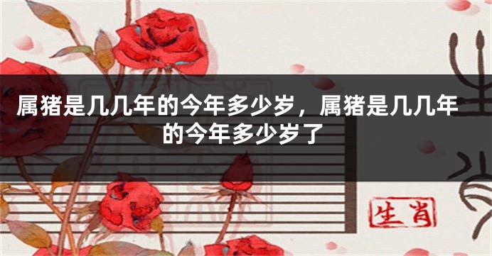属猪是几几年的今年多少岁,属猪是几几年的今年多少岁了