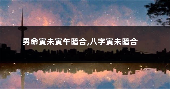 男命寅未寅午暗合,八字寅未暗合