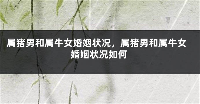 属猪男和属牛女婚姻状况，属猪男和属牛女婚姻状况如何