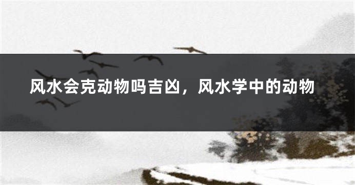 风水会克动物吗吉凶，风水学中的动物