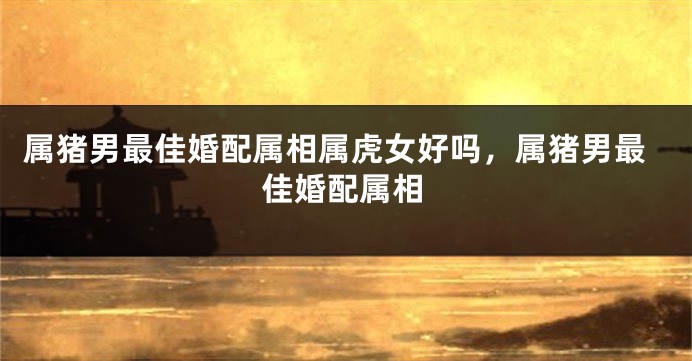属猪男最佳婚配属相属虎女好吗，属猪男最佳婚配属相