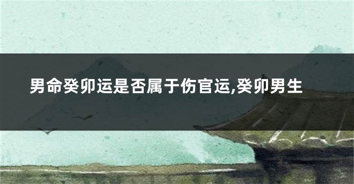男命癸卯运是否属于伤官运,癸卯男生