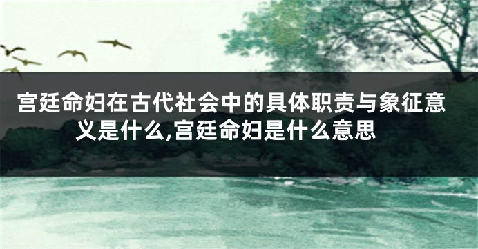 宫廷命妇在古代社会中的具体职责与象征意义是什么,宫廷命妇是什么意思