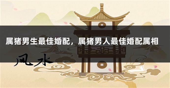 属猪男生最佳婚配，属猪男人最佳婚配属相