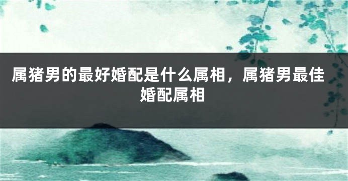 属猪男的最好婚配是什么属相，属猪男最佳婚配属相