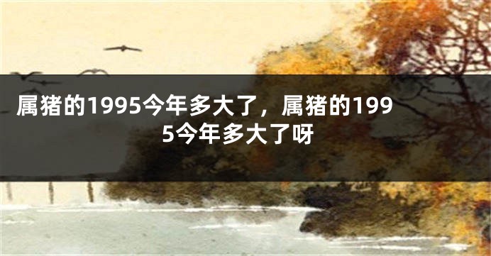 属猪的1995今年多大了,属猪的1995今年多大了呀