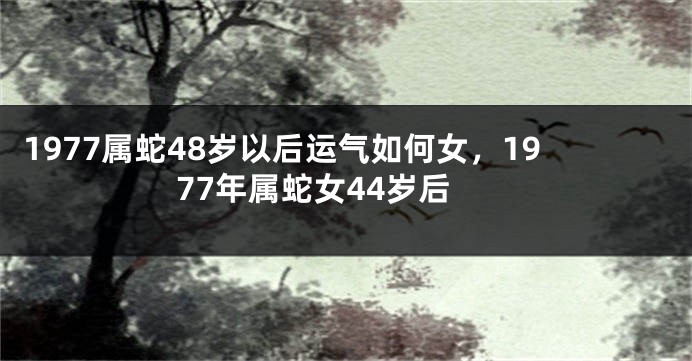 1977属蛇48岁以后运气如何女,1977年属蛇女44岁后