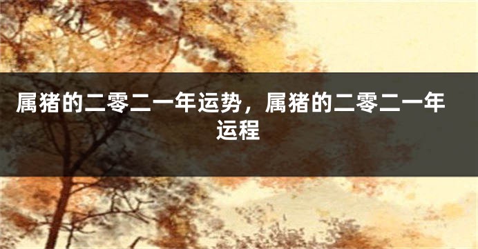 属猪的二零二一年运势,属猪的二零二一年运程