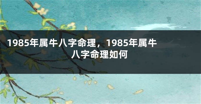 1985年属牛八字命理，1985年属牛八字命理如何